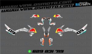 ADHESIVOS Y PEGATINAS DE VINILO KTM ADVENTURE Rt001-05