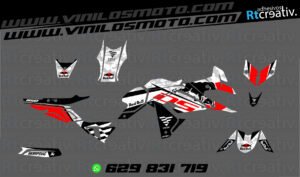 ADHESIVOS Y PEGATINAS DE VINILO VOGE DS 650 X Rt003-05