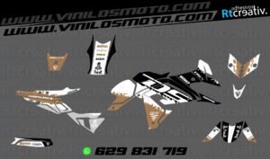 ADHESIVOS Y PEGATINAS DE VINILO VOGE DS 650 X Rt002-04