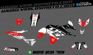 ADHESIVOS Y PEGATINAS DE VINILO VOGE DS 650 X Rt002-05