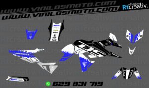 ADHESIVOS Y PEGATINAS DE VINILO VOGE DS 650 X Rt002-06
