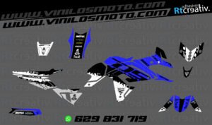 ADHESIVOS Y PEGATINAS DE VINILO VOGE DS 650 X Rt002-09