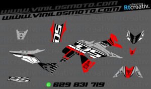 ADHESIVOS Y PEGATINAS DE VINILO VOGE DS 650 X Rt001-06