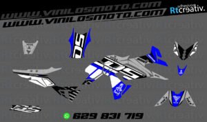 ADHESIVOS Y PEGATINAS DE VINILO VOGE DS 650 X Rt001-07