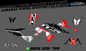 ADHESIVOS Y PEGATINAS DE VINILO VOGE DS 650 X Rt001-10