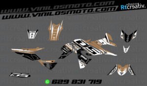 ADHESIVOS Y PEGATINAS DE VINILO VOGE DS 650 X Rt004-08