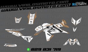 ADHESIVOS Y PEGATINAS DE VINILO VOGE DS 650 X Rt005-10