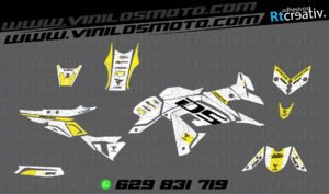 ADHESIVOS Y PEGATINAS DE VINILO VOGE DS 650 X Rt006-09