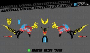 ADHESIVOS Y PEGATINAS DE VINILO VOGE 300 RALLY Rt011-02