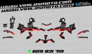 ADHESIVOS Y PEGATINAS DE VINILO VOGE 900 DSX Rt001-03