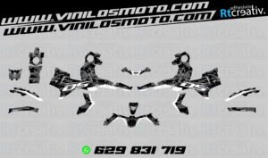 ADHESIVOS Y PEGATINAS DE VINILO VOGE 900 DSX Rt001-05