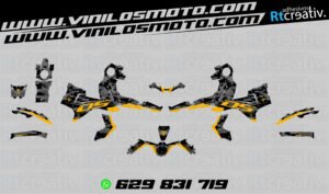 ADHESIVOS Y PEGATINAS DE VINILO VOGE 900 DSX Rt001-06