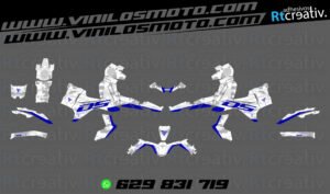 ADHESIVOS Y PEGATINAS DE VINILO VOGE 900 DSX Rt001-08