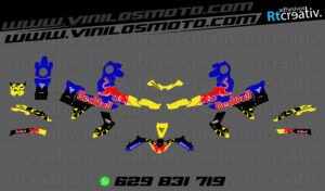 ADHESIVOS Y PEGATINAS DE VINILO VOGE 900 DSX Rt002-01