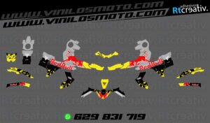 ADHESIVOS Y PEGATINAS DE VINILO VOGE 900 DSX Rt002-03