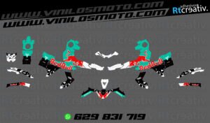 ADHESIVOS Y PEGATINAS DE VINILO VOGE 900 DSX Rt002-04