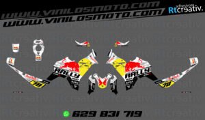 ADHESIVOS VINILOS Y PEGATINAS DE VOGE DS800 RALLY RT001