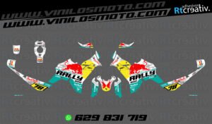 ADHESIVOS VINILOS Y PEGATINAS DE VOGE DS800 RALLY RT001