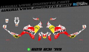 ADHESIVOS VINILOS Y PEGATINAS DE VOGE DS800 RALLY RT001