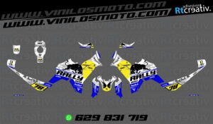 ADHESIVOS VINILOS Y PEGATINAS DE VOGE DS800 RALLY RT001