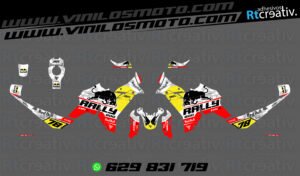 ADHESIVOS VINILOS Y PEGATINAS DE VOGE DS800 RALLY RT001