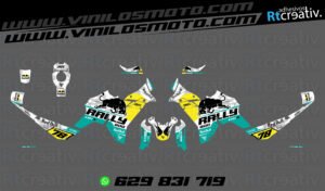 ADHESIVOS VINILOS Y PEGATINAS DE VOGE DS800 RALLY RT001