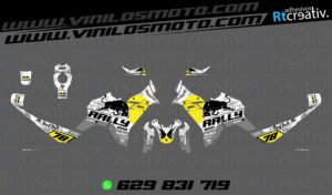 ADHESIVOS VINILOS Y PEGATINAS DE VOGE DS800 RALLY RT001