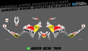 ADHESIVOS VINILOS Y PEGATINAS DE VOGE DS800 RALLY RT001