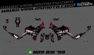 ADHESIVOS VINILOS Y PEGATINAS DE VOGE DS800 RALLY RT002