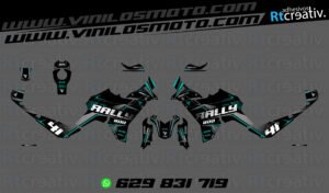 ADHESIVOS VINILOS Y PEGATINAS DE VOGE DS800 RALLY RT002