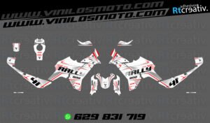 ADHESIVOS VINILOS Y PEGATINAS DE VOGE DS800 RALLY RT002