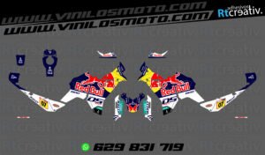 175€ - Voge DS800 Rally | Diseño RT003 2 ADHESIVOS VINILOS Y PEGATINAS DE VOGE DS800 RALLY RT003