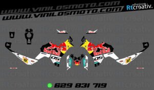 175€ - Voge DS800 Rally | Diseño RT003 4 ADHESIVOS VINILOS Y PEGATINAS DE VOGE DS800 RALLY RT003