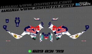 175€ - Voge DS800 Rally | Diseño RT003 6 ADHESIVOS VINILOS Y PEGATINAS DE VOGE DS800 RALLY RT003