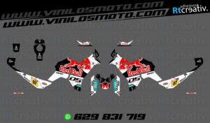 175€ - Voge DS800 Rally | Diseño RT003 8 ADHESIVOS VINILOS Y PEGATINAS DE VOGE DS800 RALLY RT003