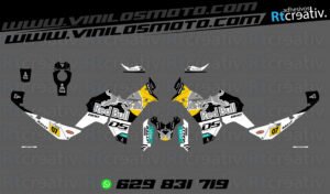 175€ - Voge DS800 Rally | Diseño RT003 10 ADHESIVOS VINILOS Y PEGATINAS DE VOGE DS800 RALLY RT003