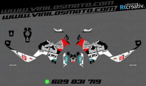 175€ - Voge DS800 Rally | Diseño RT003 12 ADHESIVOS VINILOS Y PEGATINAS DE VOGE DS800 RALLY RT003