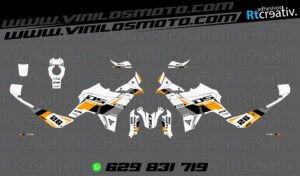 ADHESIVOS VINILOS Y PEGATINAS DE VOGE DS800 RALLY RT004