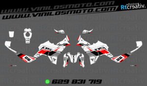 ADHESIVOS VINILOS Y PEGATINAS DE VOGE DS800 RALLY RT004