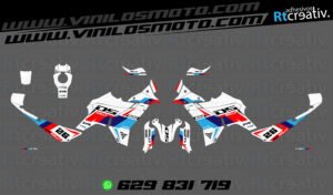 ADHESIVOS VINILOS Y PEGATINAS DE VOGE DS800 RALLY RT004