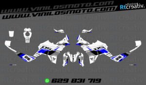 ADHESIVOS VINILOS Y PEGATINAS DE VOGE DS800 RALLY RT004