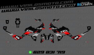 ADHESIVOS VINILOS Y PEGATINAS DE VOGE DS800 RALLY RT004