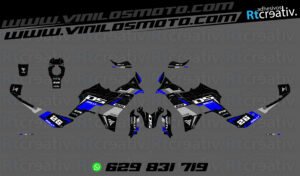 ADHESIVOS VINILOS Y PEGATINAS DE VOGE DS800 RALLY RT004