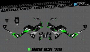 ADHESIVOS VINILOS Y PEGATINAS DE VOGE DS800 RALLY RT004