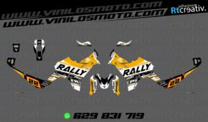 175€ - Voge DS800 Rally | Diseño RT005 10 ADHESIVOS VINILOS Y PEGATINAS DE VOGE DS800 RALLY RT005