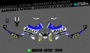 175€ - Voge DS800 Rally | Diseño RT005 8 ADHESIVOS VINILOS Y PEGATINAS DE VOGE DS800 RALLY RT005