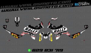 175€ - Voge DS800 Rally | Diseño RT005 6 ADHESIVOS VINILOS Y PEGATINAS DE VOGE DS800 RALLY RT005