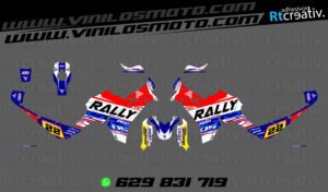 175€ - Voge DS800 Rally | Diseño RT005 2 ADHESIVOS VINILOS Y PEGATINAS DE VOGE DS800 RALLY RT005